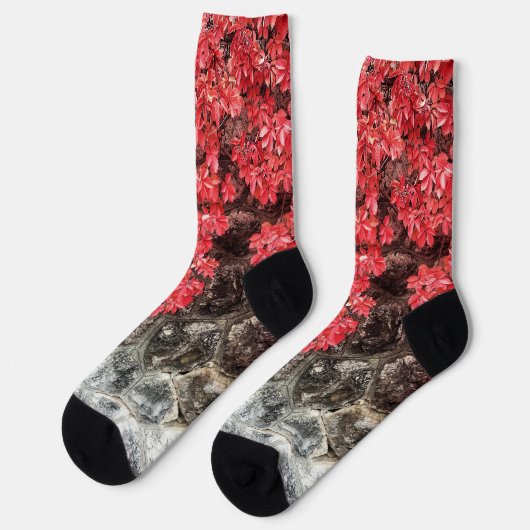 Rosa graue Efeu Blätter Herbst abstraktes Foto Socken (Linkes Detail)