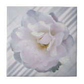 Rosa graue Rose Fliese (Vorderseite)