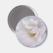 Rosa graue Rose Magnet (Vorderseite/Rückseite)