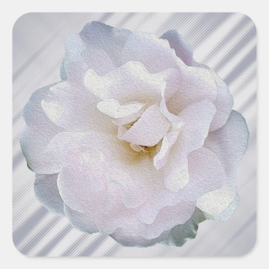 Rosa graue Rose Quadratischer Aufkleber (Vorderseite)