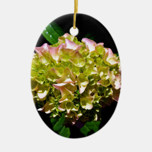 Rosa-grüne Blume Hydrangea Keramikornament