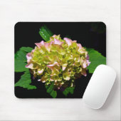 Rosa-grüne Blume Hydrangea Mousepad (Mit Mouse)