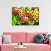 Rosa grüne Leinwand (Insitu (Wohnzimmer))
