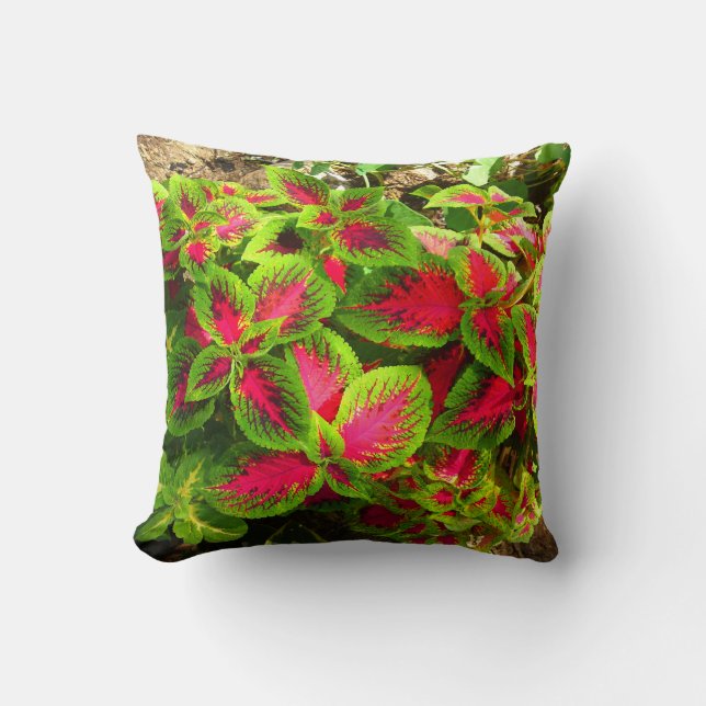 Rosa grünes, tropisches Kissen (Vorderseite)