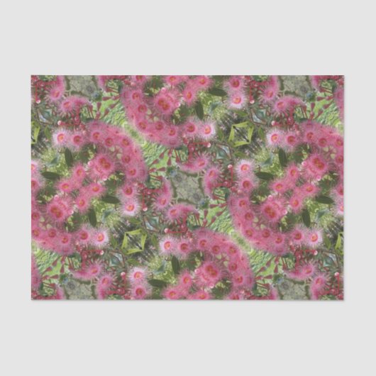 Rosa Gumnut Eukalyptus-Blumen-australischer Seidenpapier (Vorderseite)