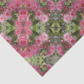 Rosa Gumnut Eukalyptus-Blumen-australischer Seidenpapier (Ausschnitt)