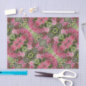 Rosa Gumnut Eukalyptus-Blumen-australischer Seidenpapier (Handwerk)