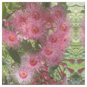 Rosa Gumnut Eukalyptus-Blumen-australischer Stoff (Nahaufnahme)