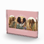 Rosa gürtelelegante Arschvielfalt mit bestem Foto (Rechts)