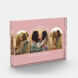 Rosa gürtelelegante Arschvielfalt mit bestem Foto