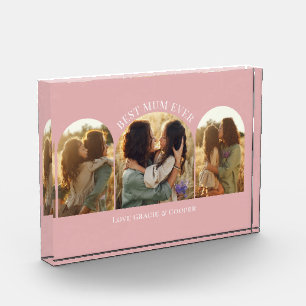 Rosa gürtelelegante Arschvielfalt mit bestem Foto