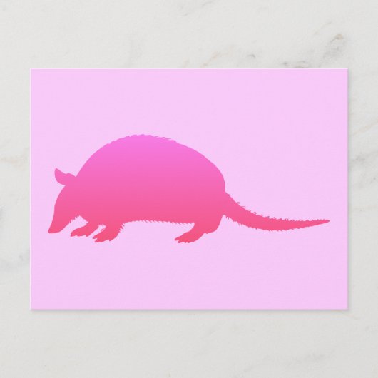 Rosa Gürteltier Postkarte (Vorderseite)