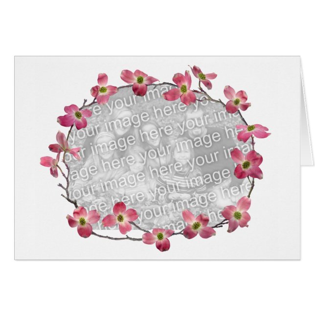 Rosa Hartriegel-Blumen (Vorderseite (Horizontal))