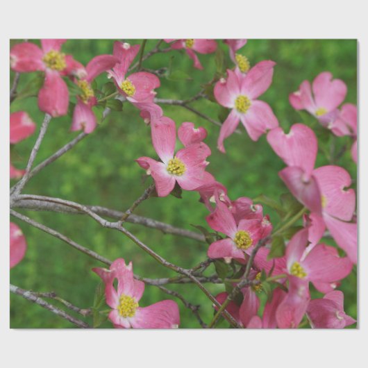 Rosa Hartriegel-Geschenk-Packpapier Geschenkpapier (Flach)