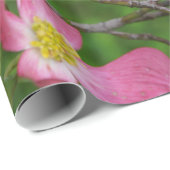 Rosa Hartriegel-Geschenk-Packpapier Geschenkpapier (Rolleneckpunkt)