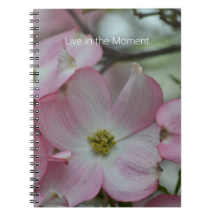 Rosa Hartriegelblüten (meine Fotografie) Notizblock