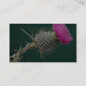 Rosa HauptBlume der Distel Visitenkarte (Rückseite)