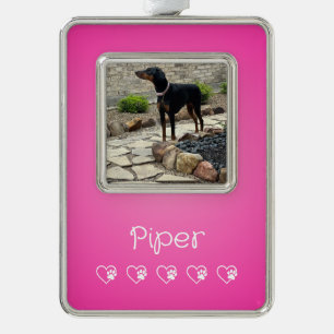 Rosa Haustier-Foto-Ornament gerahmt, Hunde-Liebhab Rahmen-Ornament Silber