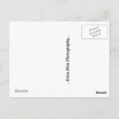 Rosa Haze Postkarte (Rückseite)
