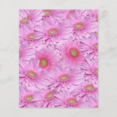 rosa, helle Cluster von Gerbera-Blume, Flyer (Hinten)