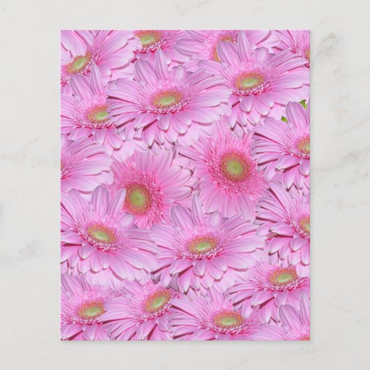 rosa, helle Cluster von Gerbera-Blume, Flyer (Vorne)
