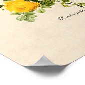Rosa hemispherica poster (Ecke)