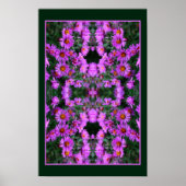 Rosa Herbst Aster Blume Orton Abstrakt Poster (Vorne)