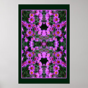 Rosa Herbst Aster Blume Orton Abstrakt Poster
