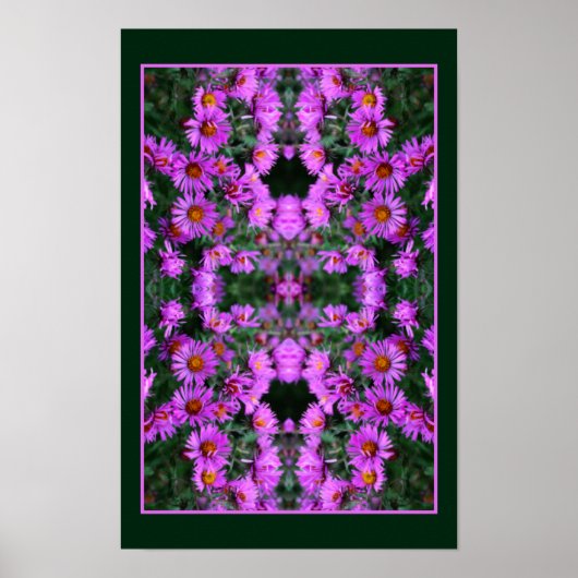 Rosa Herbst Aster Blume Orton Abstrakt Poster (Vorne)