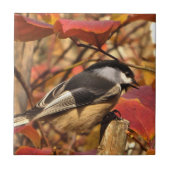 Rosa Herbst-Blätter mit Chickadee-Vogel Fliese (Vorderseite)