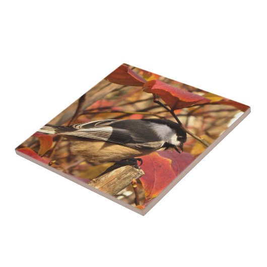 Rosa Herbst-Blätter mit Chickadee-Vogel Fliese (Seite)