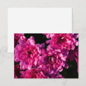 Rosa Herbst-Chrysanthemen Mitteilungskarte (Vorne/Hinten)