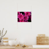 Rosa Herbst-Mums Poster (Küche)