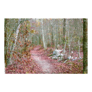 Rosa Herbstblätter Goat Rock Trail Arkansas Fotodruck