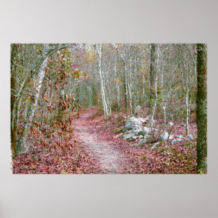 Rosa Herbstblätter Goat Rock Trail Arkansas Poster