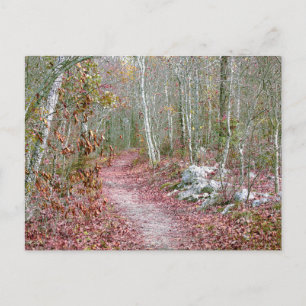 Rosa Herbstblätter Goat Rock Trail Arkansas Postkarte