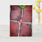 Rosa Herzrock auf Pella, Iowa Brick Karte (Gelbe Blume)