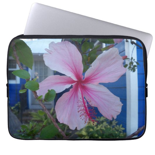 Rosa Hibisken-Blume auf der Notebookhülle Laptopschutzhülle (Vorderseite)