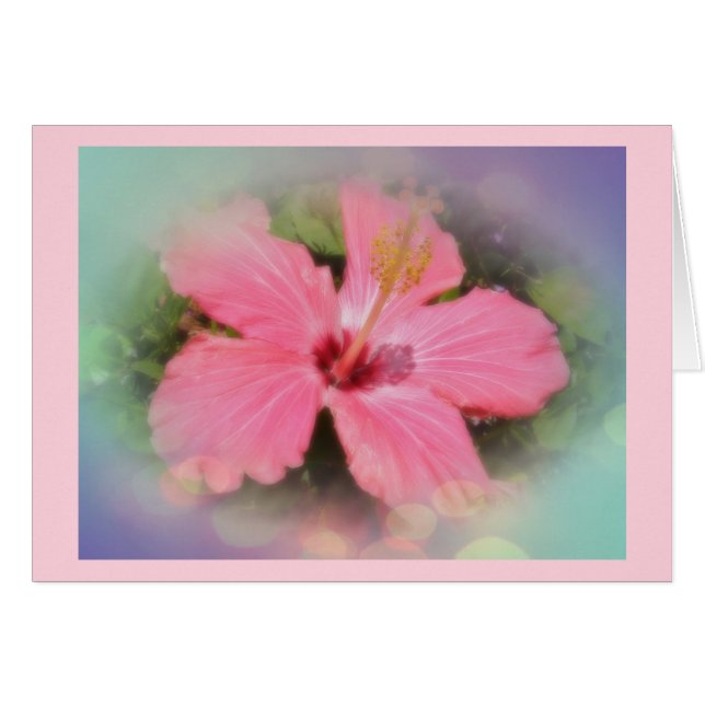 Rosa Hibiskus Blume (Vorderseite (Horizontal))
