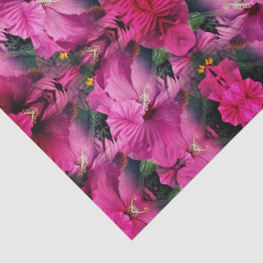 Rosa Hibiskus Blume Abstrakt Art Seidenpapier (Ausschnitt)