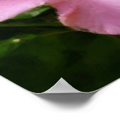 Rosa Hibiskus Blume Art Foto Malerei Poster (Ecke)