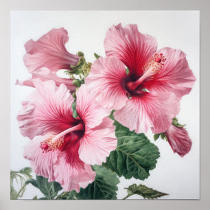 Rosa Hibiskus Blume Art Print Poster