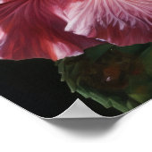 Rosa Hibiskus Blume Art Print Poster (Ecke)