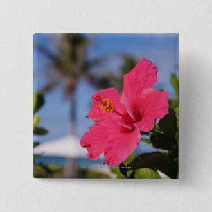 Rosa Hibiskus-Blume Button