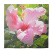 Rosa Hibiskus Blume Fliese (Vorderseite)