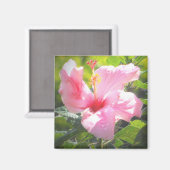 Rosa Hibiskus Blume Magnet (Vorderseite/Rückseite)