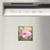 Rosa Hibiskus Blume Magnet (In Situ (Geschirrspüler))