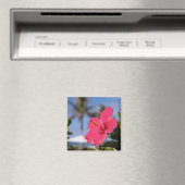 Rosa Hibiskus Blume Magnet (In Situ (Geschirrspüler))