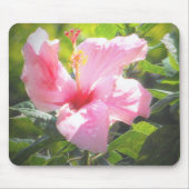 Rosa Hibiskus Blume Mousepad (Vorne)