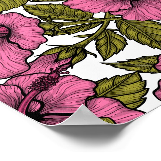 Rosa Hibiskus Blume Poster (Ecke)